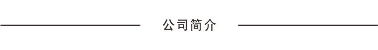 公司簡(jiǎn)介.jpg